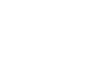 Ecole Polytechnique national