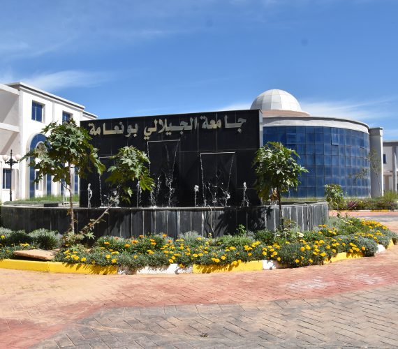 Khemis Miliana University