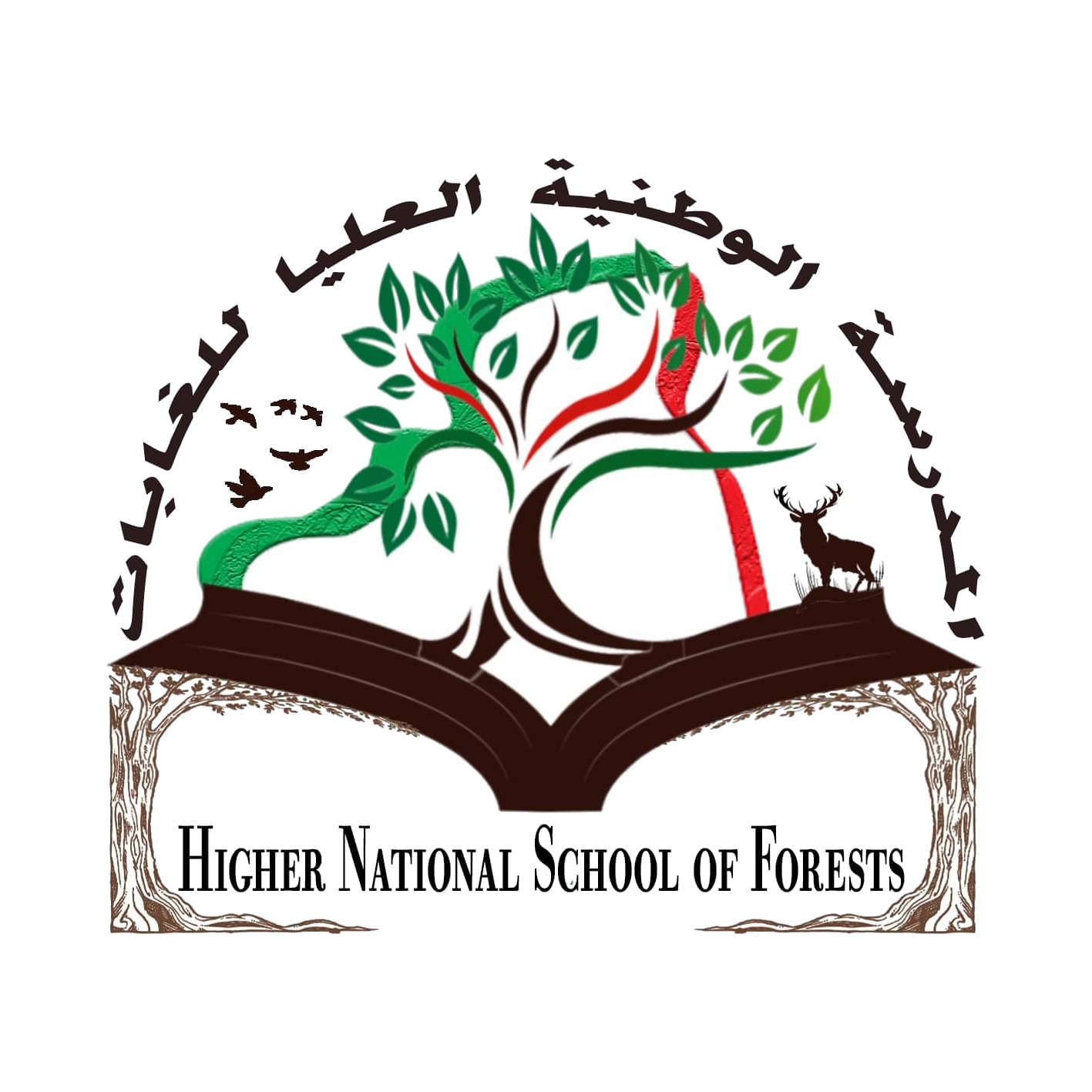 Higher National School Of Forests