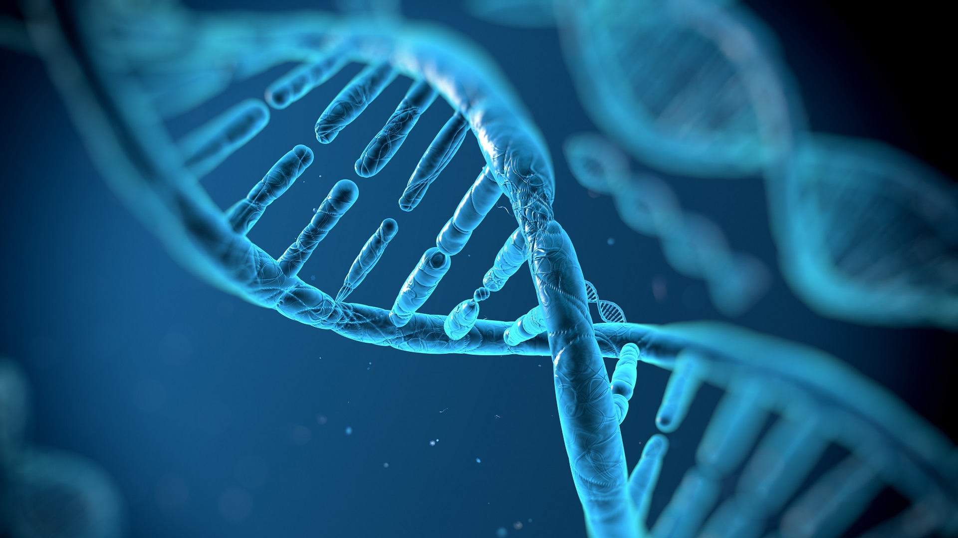 Master in Genetics
